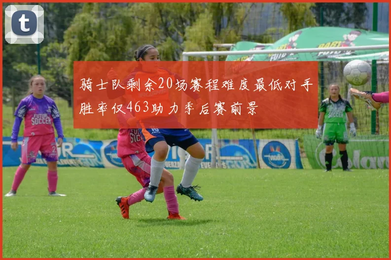 骑士队剩余20场赛程难度最低对手胜率仅463助力季后赛前景