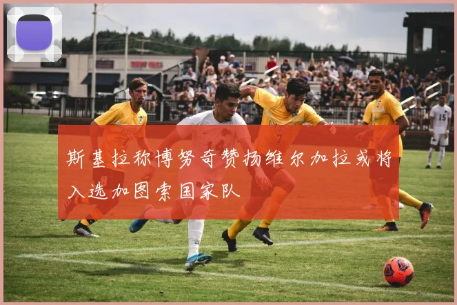 斯基拉称博努奇赞扬维尔加拉或将入选加图索国家队