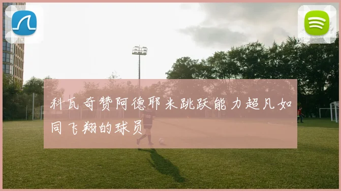 科瓦奇赞阿德耶米跳跃能力超凡如同飞翔的球员